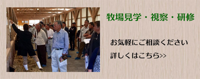 牧場見学・視察・研修